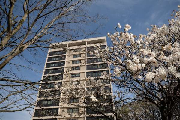Photo of MetroRock properties Streed Towers