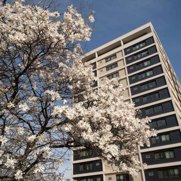 Streed Towers with blooming flowers.